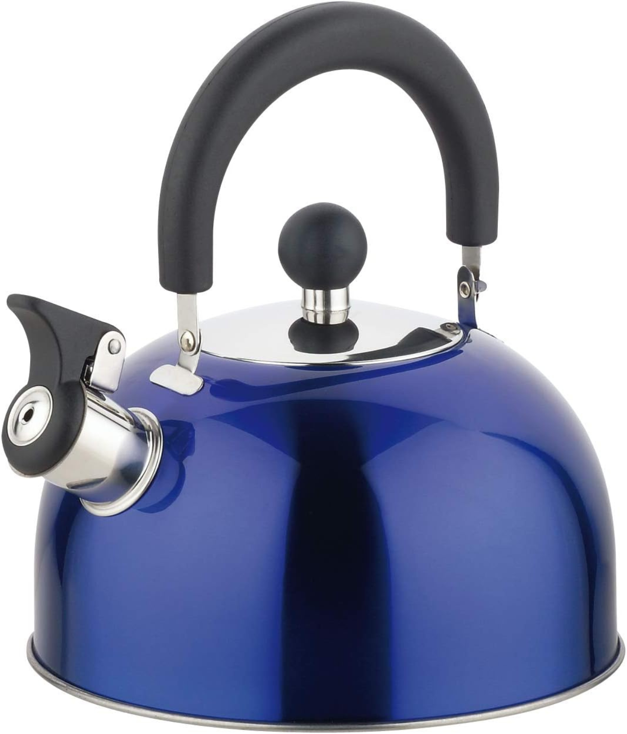 Whistling Tea Kettle